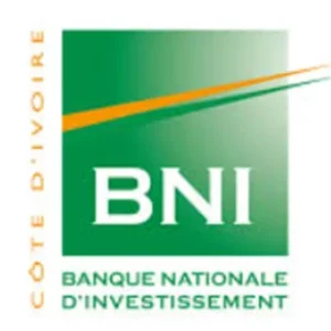 BNI 300x300